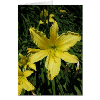 Finnish-Hyvää Syntymäpäivää-Yellow Lily