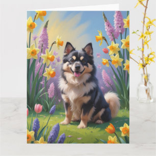 Finnish Lapphund Dog Spring Flowers Painting Card