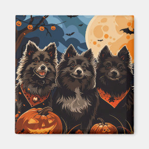 Finnish Lapphund Halloween Spooky Magnet