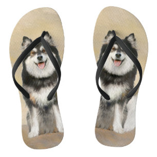 Finnish Lapphund Painting - Cute Original Dog Art Jandals
