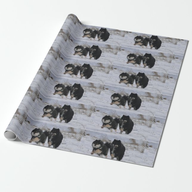 Finnish Lapphunds Wrapping Paper (Unrolled)