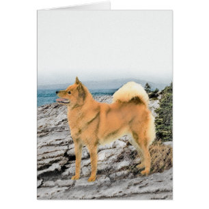Finnish Spitz at Seashore Painting - Dog Art