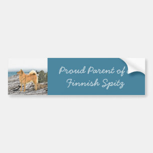 Finnish Spitz at Seashore Painting - Dog Art Bumper Sticker
