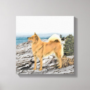 Finnish Spitz at Seashore Painting - Dog Art Canvas Print