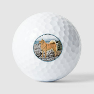 Finnish Spitz at Seashore Painting - Dog Art Golf Balls