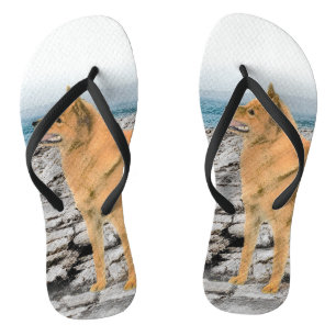 Finnish Spitz at Seashore Painting - Dog Art Jandals