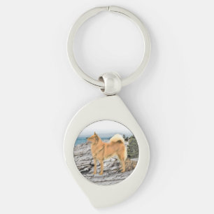 Finnish Spitz at Seashore Painting - Dog Art Key Ring