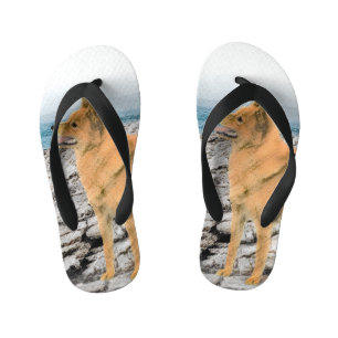 Finnish Spitz at Seashore Painting - Dog Art Kid's Jandals