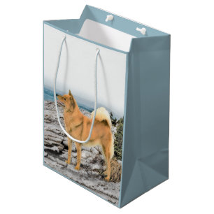 Finnish Spitz at Seashore Painting - Dog Art Medium Gift Bag