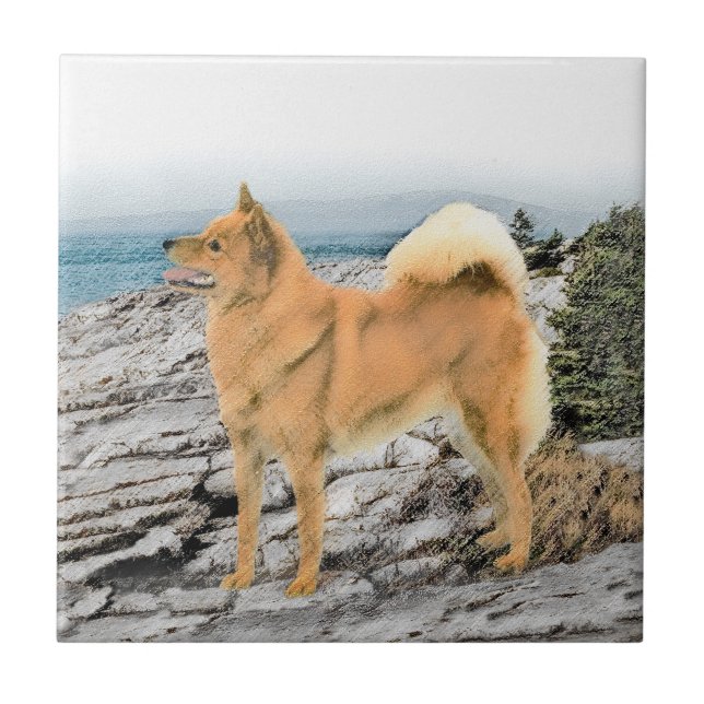 Finnish Spitz at Seashore Painting - Dog Art Tile (Front)