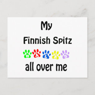 Finnish Spitz Walks Design Postcard