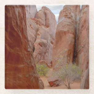 Fins, Arches National Park, Utah Glass Coaster