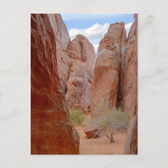 Fins, Arches National Park, Utah, Postcard (Front)