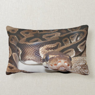 Fiona says Hello Lumbar Cushion