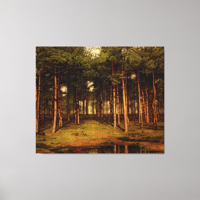 Fir Forest in Putte with Rabbits Jean  Lamorinière Canvas Print (Front)