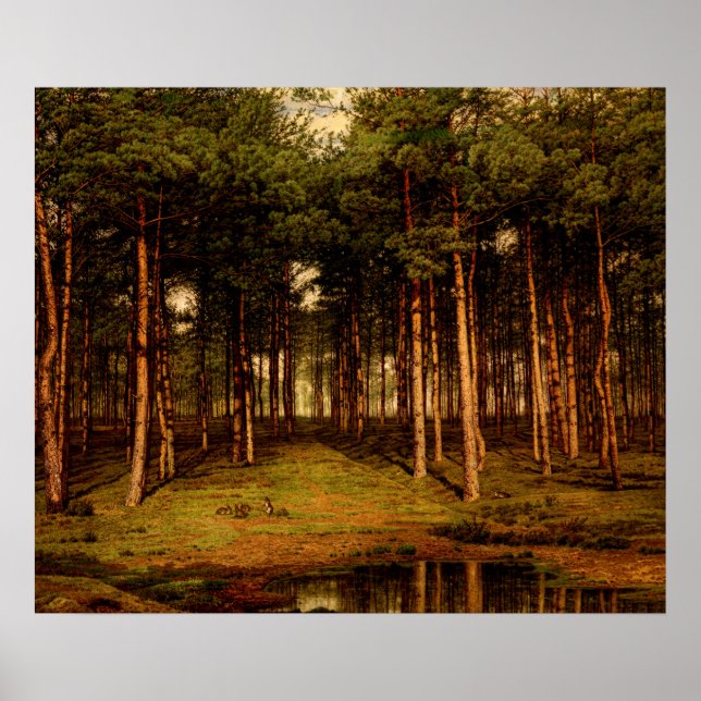 Fir Forest in Putte with Rabbits Jean  Lamorinière Poster (Front)