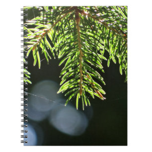 Fir pine needles with bokeh notebook
