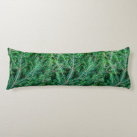 Fir tree branch