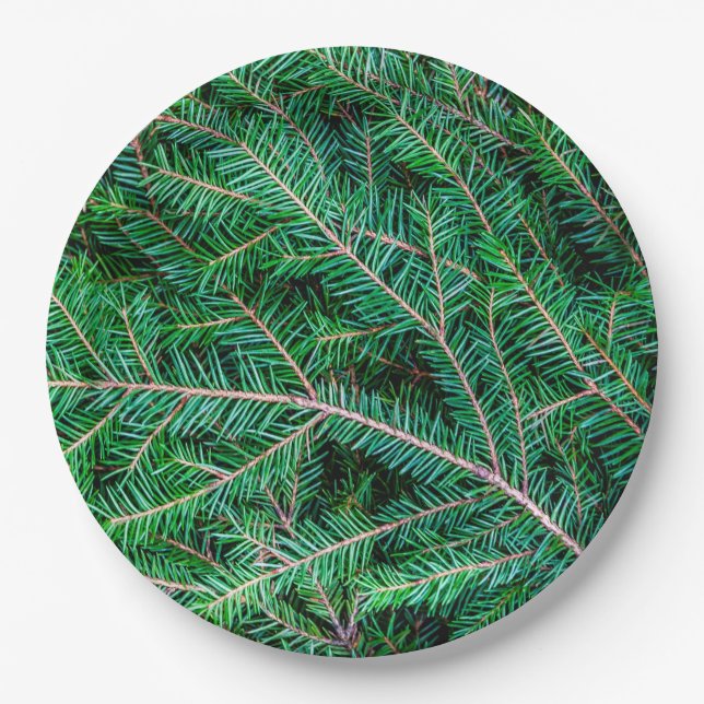 Fir tree branch paper plate (Front)