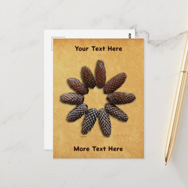Fir Tree Cones Star Postcard (Front/Back In Situ)