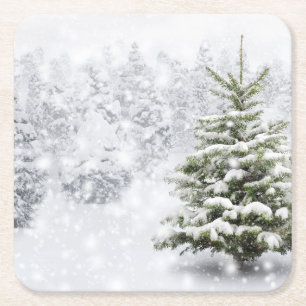 Fir Tree In Thick Snow Square Paper Coaster