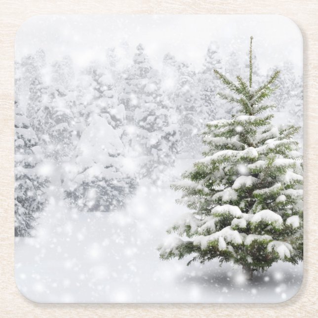 Fir Tree In Thick Snow Square Paper Coaster (Front)