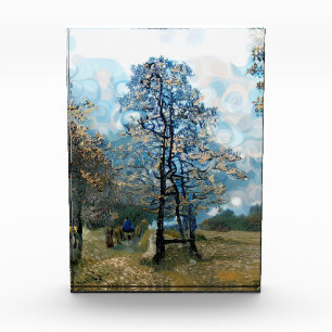 FIR TREE PHOTO BLOCK