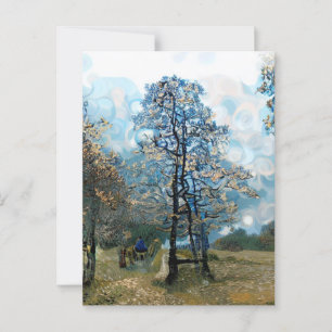 FIR TREE POSTCARD