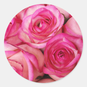 Fire and Ice Roses Classic Round Sticker