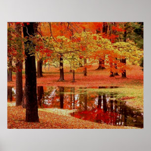 Fire and Rain Poster