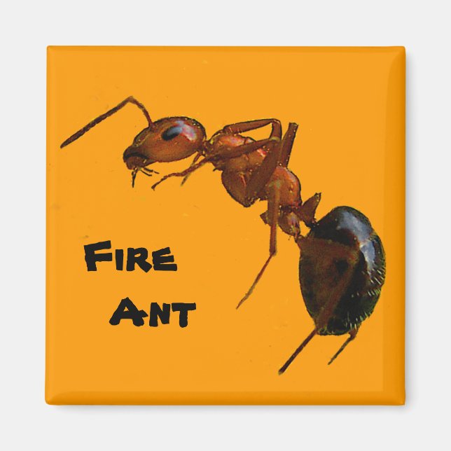Fire Ant Magnet (Front)