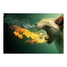 Fire Breathing Cat Poster
