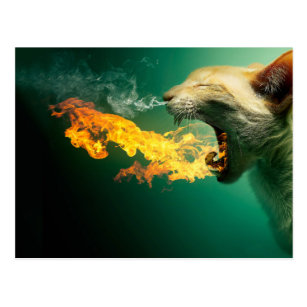 Devil Cat Gifts On Zazzle Nz