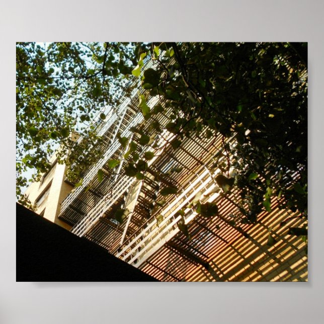 Fire Escapes in Shadow and Sun Poster (Front)