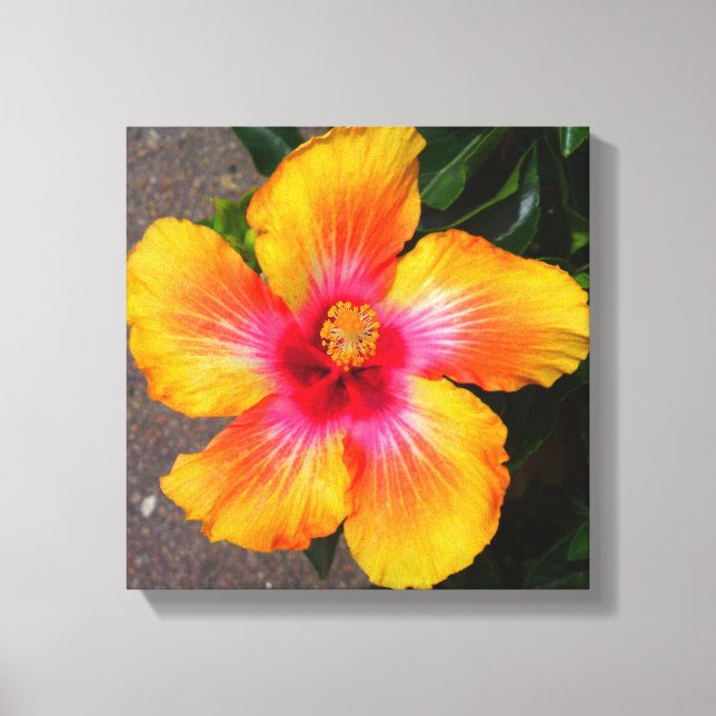 Fire Flower Canvas Print (Front)