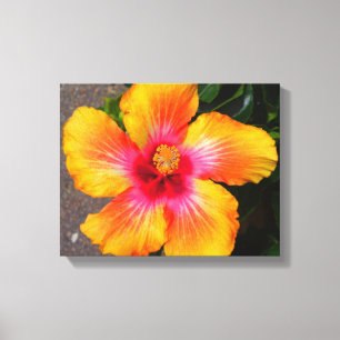 Fire Flower Canvas Print