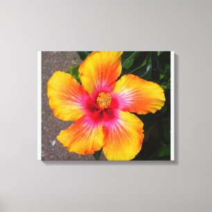 Fire Flower Canvas Print
