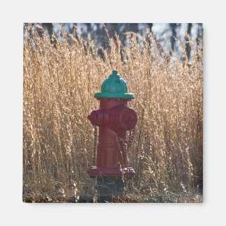 Fire Hydrant Magnet