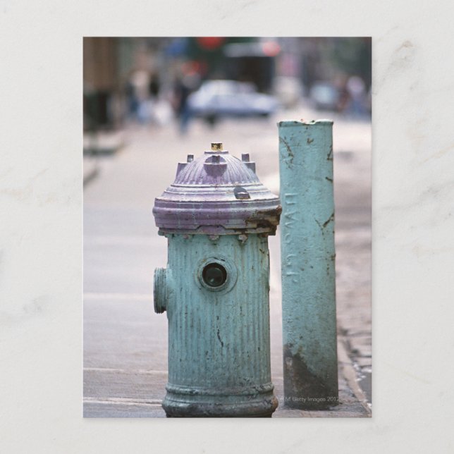 Fire Hydrant Postcard (Front)