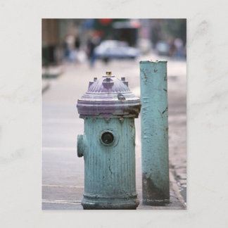 Fire Hydrant Postcard