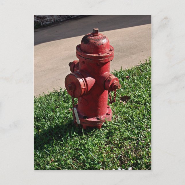 Fire hydrant postcard (Front)