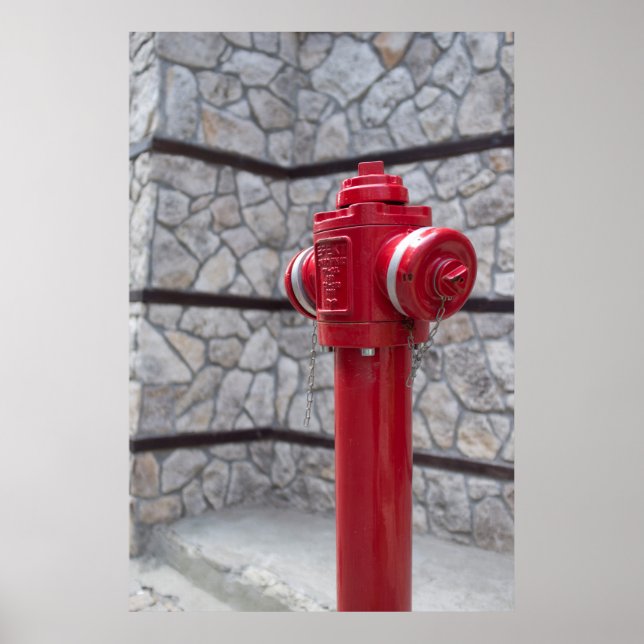 Fire hydrant poster (Front)