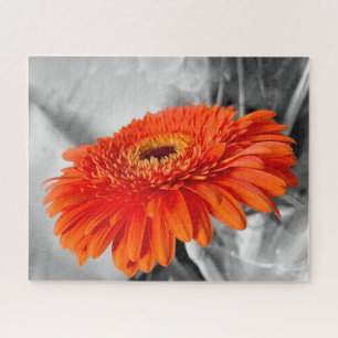 Fire on petals jigsaw puzzle