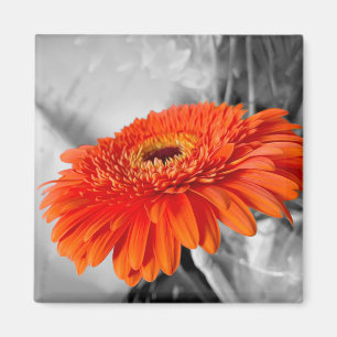 Fire on petals magnet