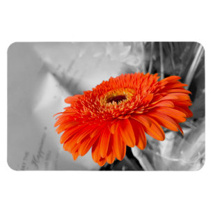 Fire on petals magnet