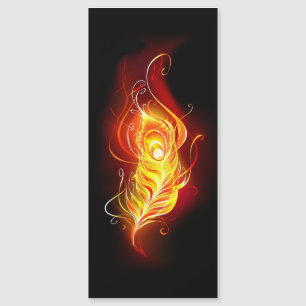 Fire Peacock Feather
