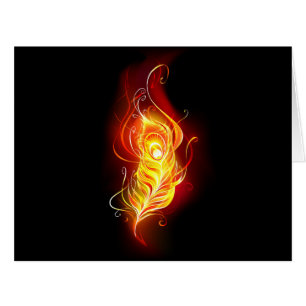 Fire Peacock Feather