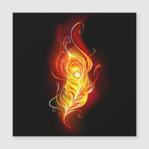 Fire Peacock Feather