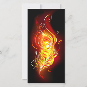 Fire Peacock Feather Announcement