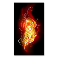 Fire Peacock Feather